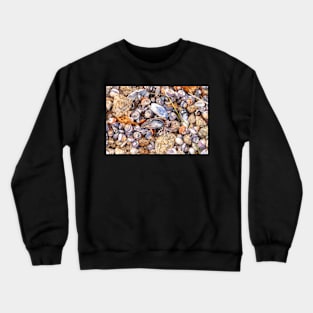 Seashells Crewneck Sweatshirt